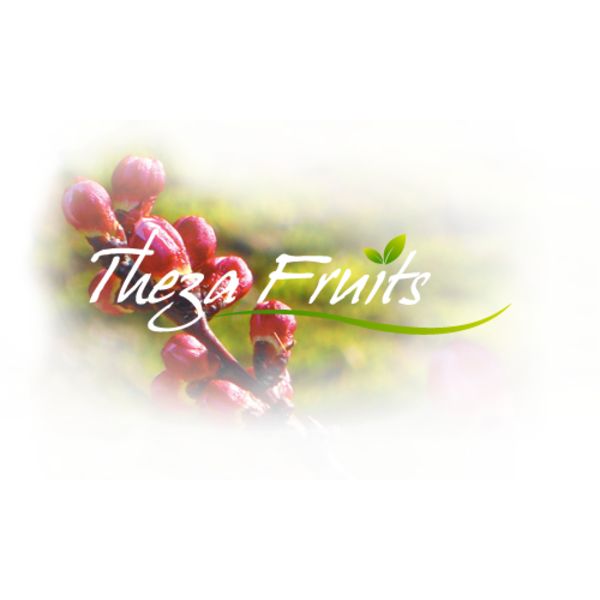 Logo theza fruit